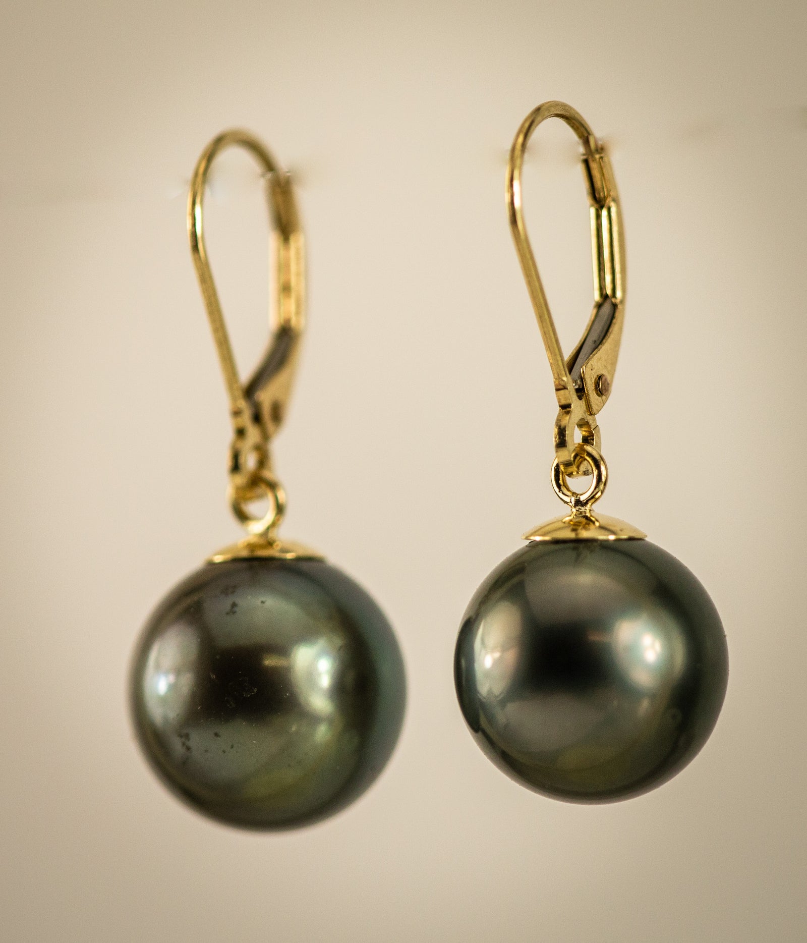Cook Island 12mm Pearl Gold Earring