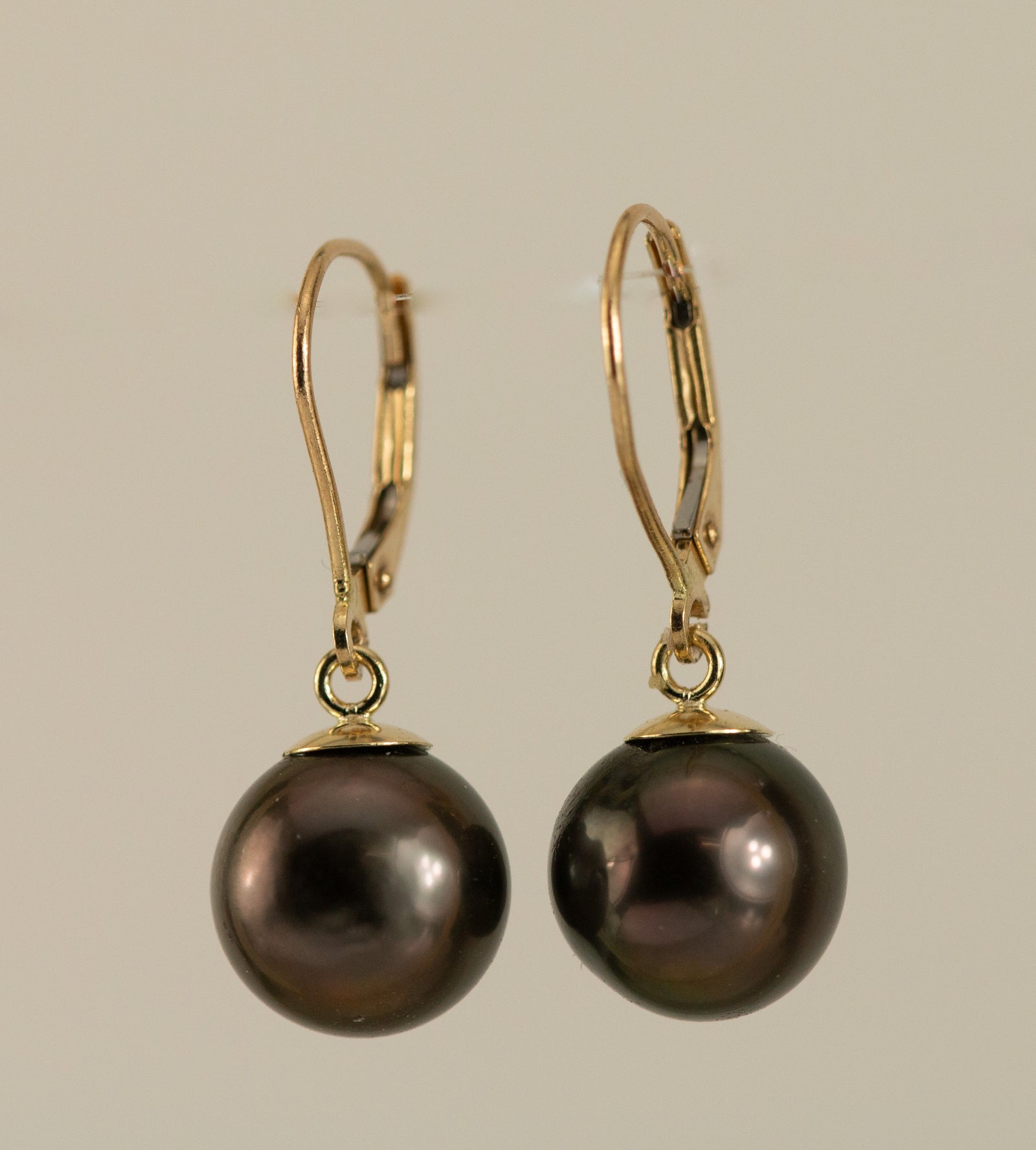 Cook Island Black Pearl Gold Earrings