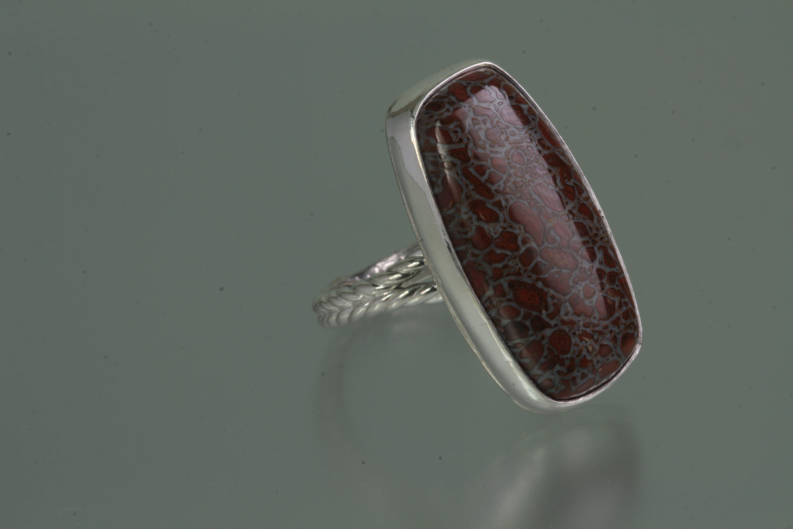 Fossilized Dinosaur Bone Sterling Silver Ring