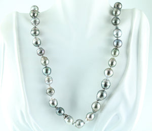 23" Cook Island South Sea Pearl Necklace